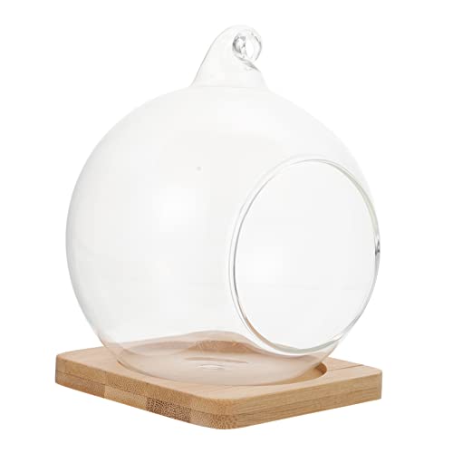 VICASKY 1Stück Landschaftsglasflasche Hängende Pflanzenflasche Für Micro Landschaften DIY Terrarium Mit Bambusunterlage Zufällige Hakenvariante Für Deko von VICASKY