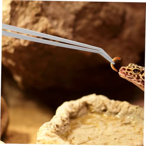 VICASKY 2 Stück Edelstahl Futterzangen für Reptilien mit Langem Griff Gerade und Gebogen Ergonomisch für Aquarien und Terrarien Fütterung von Echsen und Fischen von VICASKY