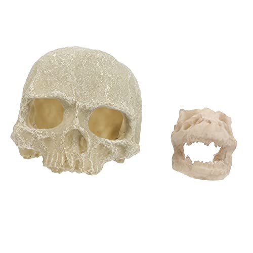 VICASKY 2 Stück Resin Aquarium Dekoration Teiliges Skull Form Ornament Naturnahes Harz Skull Aquarium Deko Sicher für Süßwasserfische Lebensechte Halloween Skelett Gestaltung von VICASKY