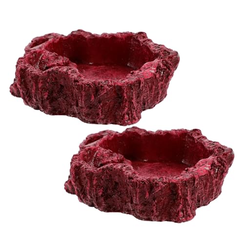 VICASKY 2 Stück Resin Reptilien Futter und Wasserschale für Schildkröten Eidechsen und Geckos Praktisch Sicher und Langlebig für Terrarien Umweltfreundliches Design VICASKY 2 Stück Resin Reptilien Futter und Wasserschale für Schildkröten Eidechsen und Geckos Praktisch Sicher und Langlebig für Terrarien Umweltfreundliches Design von VICASKY