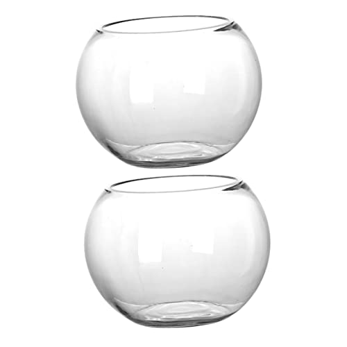 VICASKY 2 Stück Runde Glasvase für Hydroponische Pflanzen Terrarium Dekoration Design für Zuhause für Sukkulenten Tischdeko und Innenräume VICASKY 2 Stück Runde Glasvase für Hydroponische Pflanzen Terrarium Dekoration Design für Zuhause für Sukkulenten Tischdeko und Innenräume von VICASKY