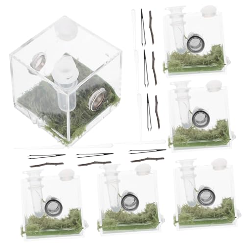 VICASKY 2Sätze Transparente Spinnenbox Insekten Habitatbox für Spinnen Skorpione und Kleine Reptilien Langlebig Reinigen für Aufzucht und Pflege von VICASKY