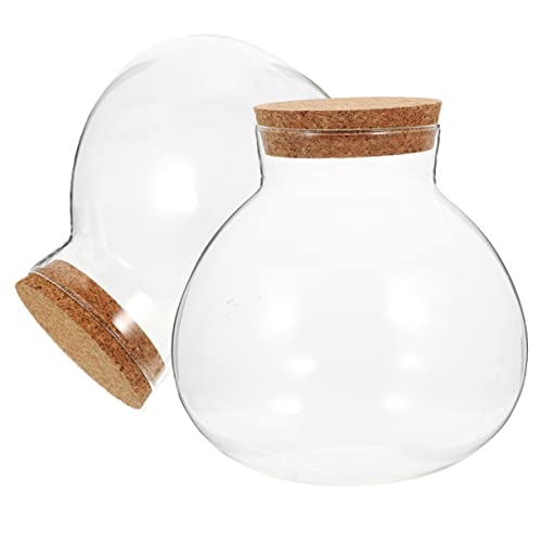VICASKY 2Stücke Ökologische Flasche Mit Korkverschluss Hohe DIY Mikrolandschaft Flasche Für Pflanzen Und Dekoration Glasmoos Pflanzenflasche von VICASKY
