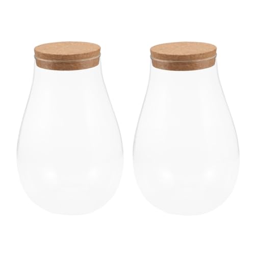 VICASKY 2Stücke Ökologische Glasflasche Für Landschafts DIY Transparentes Design Für Pflanzen Mit Holzstopfen Für Wohnzimmer Und Garten von VICASKY