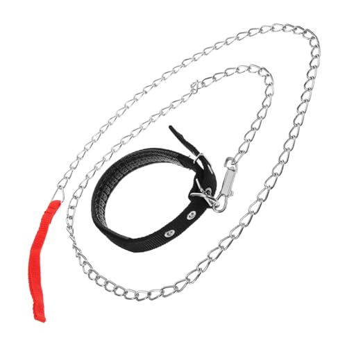 VICASKY 2Stücke Teiliges Haustierhalsband Set mit Strapazierfähiger Eisenkette S für Haustiere mit Gewicht von Zubehör für Katzen VICASKY 2Stücke Teiliges Haustierhalsband Set mit Strapazierfähiger Eisenkette S für Haustiere mit Gewicht von Zubehör für Katzen von VICASKY