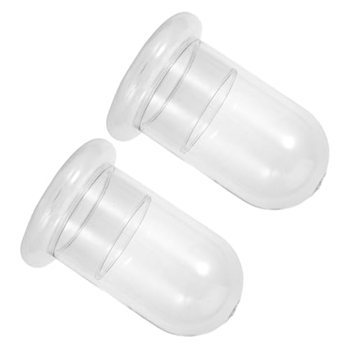VICASKY 2Stücke Terrarienflasche Hochwertigem Borosilikatglas Miniatur Dekoration für Landschaften für Flaschengärten und Kreative VICASKY 2Stücke Terrarienflasche Hochwertigem Borosilikatglas Miniatur Dekoration für Landschaften für Flaschengärten und Kreative von VICASKY