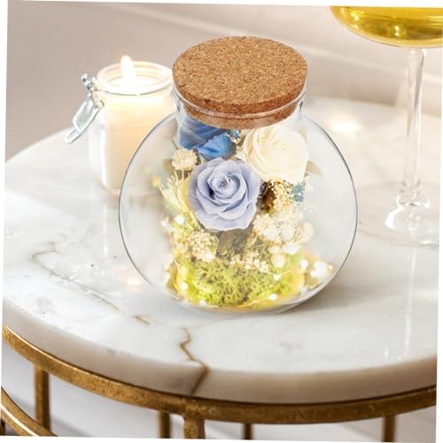 VICASKY 3 Stück Versiegelte Klare Terrarium Glasflasche mit Kork Runde Mikrolandschafts Glasbehälter für Büro Dekoration und DIY Projekte von VICASKY