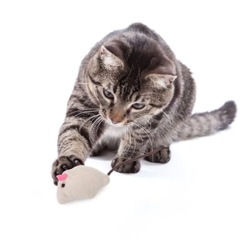 VICASKY 4 Stück Teiliges Katzenspielzeug Mäuseform mit Katzenminze Interaktive Plüschmäuse für Katzen Robustes Kauspielzeug zur Stimulation Jagdinstinkts für Katzenliebhaber von VICASKY