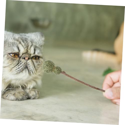 VICASKY 5 Stück Teiliges Natürliche Katzenminze Lutscher Cat Ball Sticks als Kauspielzeug für Katzen Fördert Verdauung und Zahnpflege Sichere Katzenleckerlis Verschiedene Designs für von VICASKY