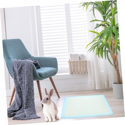 VICASKY 50 Stück Welpen Trainingspads mit Hoher Saugfähigkeit Einweg Pet Training Matten für Kaninchen Kleine Hunde und Kleintiere Auslaufsichere Urinunterlagen für Drinnen und Unterwegs VICASKY 50 Stück Welpen Trainingspads mit Hoher Saugfähigkeit Einweg Pet Training Matten für Kaninchen Kleine Hunde und Kleintiere Auslaufsichere Urinunterlagen für Drinnen und Unterwegs von VICASKY