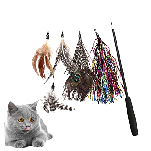 VICASKY 6 Stück Katzenangel Spielzeugset Teilig Interaktive Katzenspielzeuge mit und Perlen Fördert Bewegung und Beschäftigung Stärkt die Bindung zu Ihrem Haustier VICASKY 6 Stück Katzenangel Spielzeugset Teilig Interaktive Katzenspielzeuge mit und Perlen Fördert Bewegung und Beschäftigung Stärkt die Bindung zu Ihrem Haustier von VICASKY