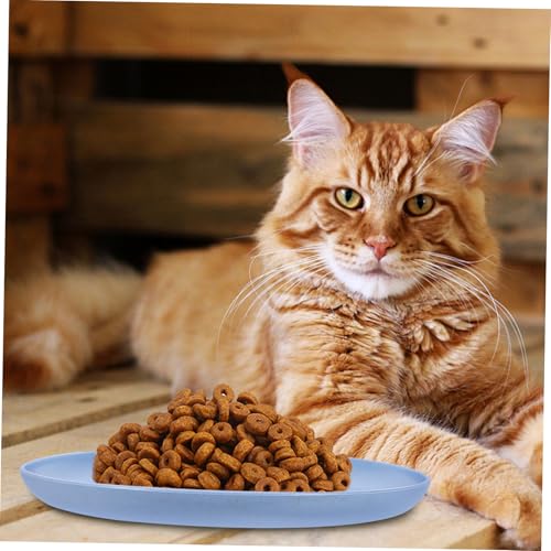 VICASKY 6 Stück Teiliges Katzennapf Flach aus Robustem rutschfest und Spülmaschinenfest Futterschalen für Kätzchen und Kurzbeinige Katzen Praktische Napfserie für Feucht und von VICASKY