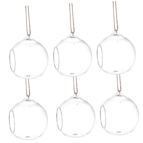 VICASKY 6stücke Hängendes Glasterrarium Für Pflanzen Terrariumhalter Zum Aufhängen Aufhängervase Als Wohndekoration Platzierbar Als Tischpflanze Oder Flächen von VICASKY