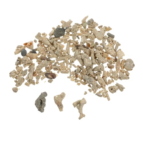 VICASKY Aquarium Korallensand Vulkanisches Filtermaterial für Fischbecken Bodengrund Natürliche Korallenform und Zufällig Wasserreinigung und Dekoration VICASKY Aquarium Korallensand Vulkanisches Filtermaterial für Fischbecken Bodengrund Natürliche Korallenform und Zufällig Wasserreinigung und Dekoration von VICASKY