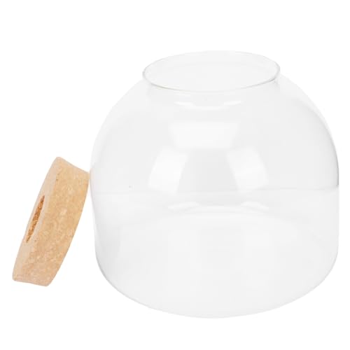 VICASKY DIY Micro Landscaping Flasche aus Klarem Robustes Terrarium mit Holzstopfen Kompakter Micro Landschaftsbehälter für Pflanzen Moos und Ableger Dekoratives Wohn und Büroaccessoire von VICASKY