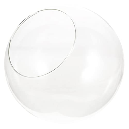 VICASKY DIY Sukkulente Pflanzenflasche Hochtransparente Terrarium Für Mooslandschaften Tischdekoration Ökosystem Pflanzgefäß Für Sukkulentenpflanzen von VICASKY