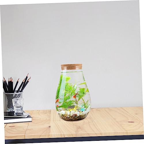 VICASKY DIY Terrarium Betta Flasche mit Holzverschluss Mikrolandschaftlicher Moos Ökoflasche für Pflanzenvermehrung Transparentes Pflanzgefäß für Zimmerdekoration von VICASKY