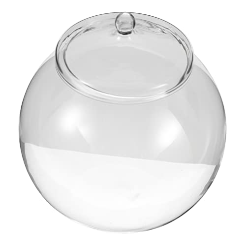 VICASKY DIY Terrarium Glasflasche Für Sukkulenten Und Moos Mit Hydroponische Vase Für Mikrolandschaften Deko Für Schreibtisch Und Pflanzenliebhaber von VICASKY