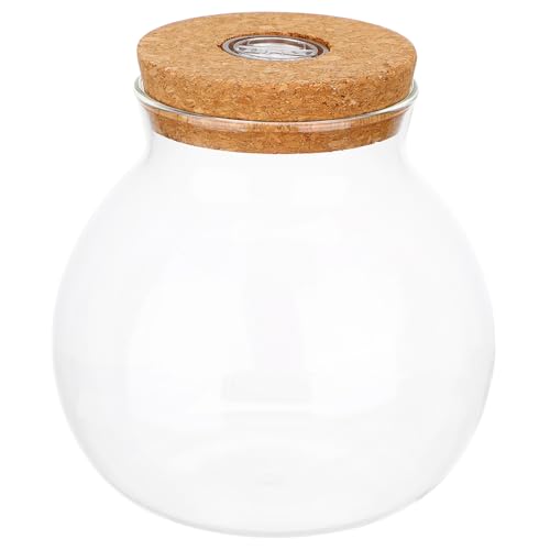 VICASKY DIY Terrarium Glasflasche mit LED Beleuchtung Kreativer Fischtank Halter für Landschaften zur Dekoration und Aufzucht von Wasserpflanzen Transparent Kompakt von VICASKY