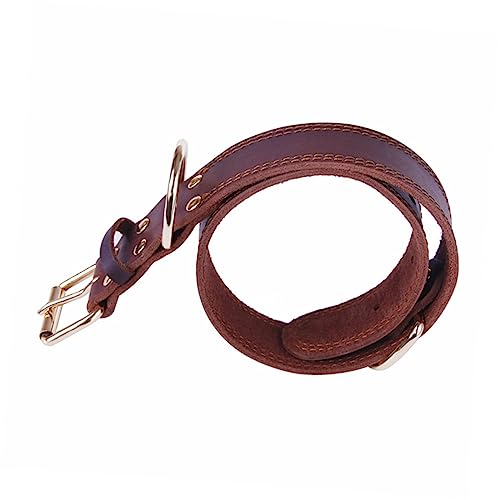 VICASKY Echtes Hundehalsband für Kleine Mittelgroße und Große Weicher Strapazierfähiger mit Gepolsterten Rändern für Höchsten und Schutz Beim Training von VICASKY