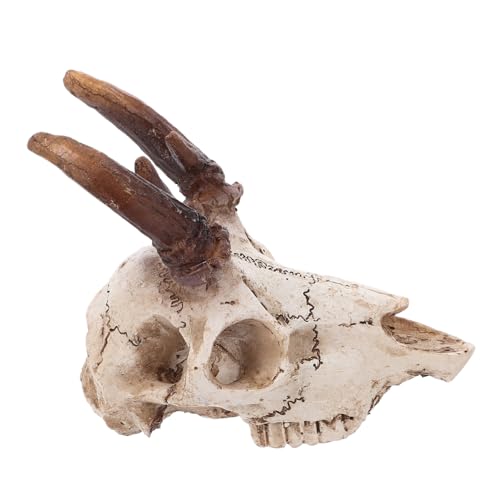 VICASKY Elk Skull Aquarium Dekoration für Reptilien Authentisches Versteck aus Harz für Terrarium Fischbecken Lifelike Leopard Hide für Gesundes Habitat für Drachen und Echsen VICASKY Elk Skull Aquarium Dekoration für Reptilien Authentisches Versteck aus Harz für Terrarium Fischbecken Lifelike Leopard Hide für Gesundes Habitat für Drachen und Echsen von VICASKY