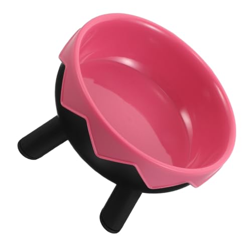VICASKY Erhöhter Futternapf für Katzen und Kleine Hunde Ergonomisches Design zur Reduzierung von Nackenbelastung Abwaschbar rutschfest für Kätzchen und Erwachsene Tiere VICASKY Erhöhter Futternapf für Katzen und Kleine Hunde Ergonomisches Design zur Reduzierung von Nackenbelastung Abwaschbar rutschfest für Kätzchen und Erwachsene Tiere von VICASKY