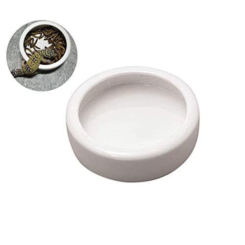 VICASKY Feeder Bowl für Garnelen und Kleine Fische rutschfeste Futterschüssel für Aquarien und Reptilien Schwimmender Futterplatz Langlebig und Sicher VICASKY Feeder Bowl für Garnelen und Kleine Fische rutschfeste Futterschüssel für Aquarien und Reptilien Schwimmender Futterplatz Langlebig und Sicher von VICASKY