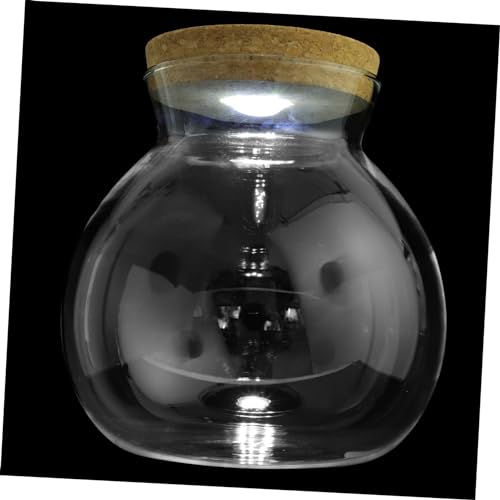VICASKY Fischtank DIY Mikro Landschaftsflasche mit LED Licht Kreativer Terrariumhalter aus für Pflanzen und Dekoration für Aquarien und Heimwerkerprojekte VICASKY Fischtank DIY Mikro Landschaftsflasche mit LED Licht Kreativer Terrariumhalter aus für Pflanzen und Dekoration für Aquarien und Heimwerkerprojekte von VICASKY
