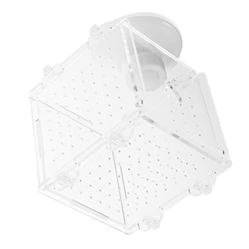 VICASKY Fischzuchtbox Isolierbox für Aquarien Schwimmende Trennwand für Fischaufzucht Transparent und Langlebig für Neugeborene und Fischzucht von VICASKY