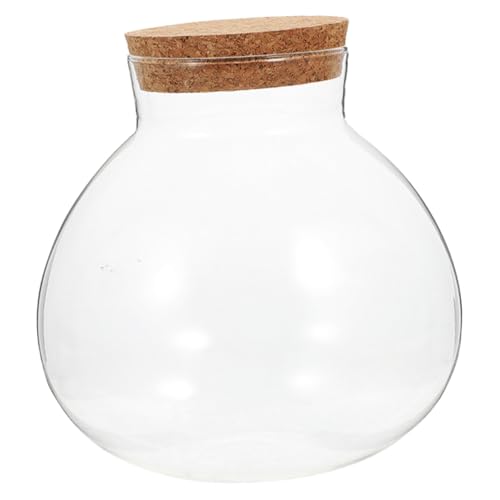 VICASKY Glas Terrarium Kugelflasche mit Weichem Korkverschluss Transparenter Pflanzbehälter für Mikrolandschaft und Ökosystem Dekorativer Flaschengarten ohne Licht Vielseitiger Micro von VICASKY