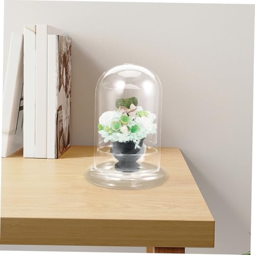 VICASKY Glas Terrarium Vase Groß mit Mittlerem Kreative Mikro Landschaft für Pflanzen Vielseitige Dekoration für Schreibtisch Tisch Nachtkonsole Wiederverwendbar und Pflegeleicht VICASKY Glas Terrarium Vase Groß mit Mittlerem Kreative Mikro Landschaft für Pflanzen Vielseitige Dekoration für Schreibtisch Tisch Nachtkonsole Wiederverwendbar und Pflegeleicht von VICASKY