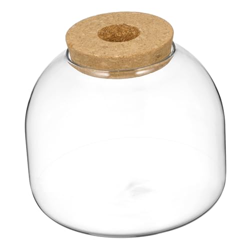 VICASKY Glas Terrarium mit Holzstopfen Micro Landschaft Behälter für Hydroponikpflanzen Dekoratives Glasgefäß für Moos und Gärten Geeignet für Wohnzimmer Büro Schlafzimmer von VICASKY