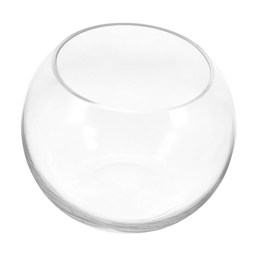 VICASKY Glasfischschale Terrarium Schüssel Für Fische Pflanzen Und Dekoration Für Kompaktes Design Hochwertiges Und Vielseitig von VICASKY