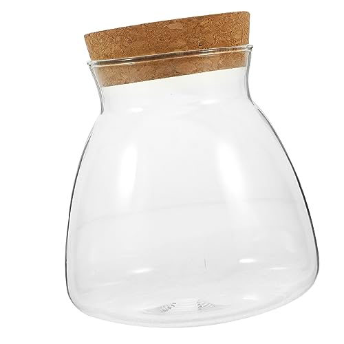 VICASKY Glasterrarium Jar Für Moos Und Hydroponikpflanzen Transparenter Glasbehälter Für Kleine Aquarien Und Tischdekoration Für Pflanzenzucht von VICASKY