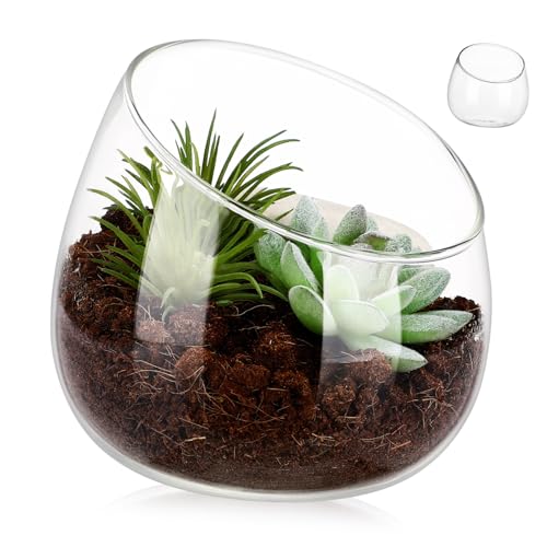 VICASKY Glasvase Für Sukkulenten Und Moos Pflanzgefäße Für Zimmerpflanzen Dekorative Blumenvase Für Terrarium Für Natürliche von VICASKY