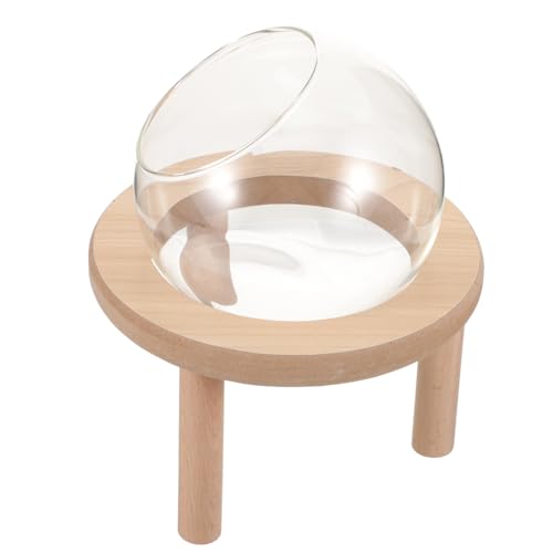 VICASKY Hamster Badewanne Holzuntergrund Transparente Sandbad Box für Chinchillas und Kleine Haustiere für Tägliche Pflege und Hygienisches VICASKY Hamster Badewanne Holzuntergrund Transparente Sandbad Box für Chinchillas und Kleine Haustiere für Tägliche Pflege und Hygienisches von VICASKY
