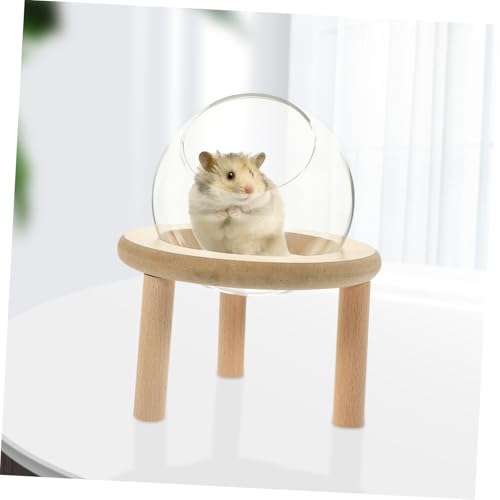 VICASKY Hamster Sandbad Behälter Transparent Sandbad Haus mit Rutschfestem Ständer und Glatten Kanten Langlebig und Leicht zu Reinigen Geeignet als Schlaf Badeplatz für Kleine Nagetiere von VICASKY