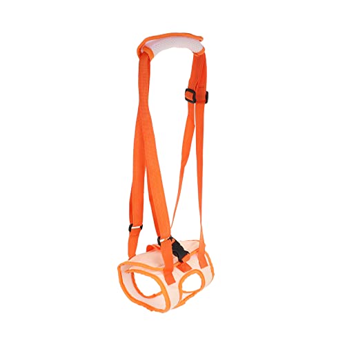 VICASKY Haustier Rehabilitation Gürtel für Ältere Verstellbarer Atmungsaktiver Hilfsgürtel für Hinterbein zur Unterstützung bei Gelenkverletzungen VICASKY Haustier Rehabilitation Gürtel für Ältere Verstellbarer Atmungsaktiver Hilfsgürtel für Hinterbein zur Unterstützung bei Gelenkverletzungen von VICASKY