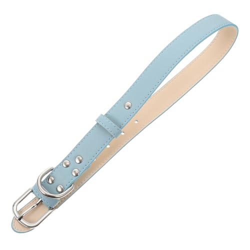 VICASKY Haustierhalsband Hunde Mit Einstellbar Kragen Welpenhalsband Klein Name Nacken Reflektierend Für Stichworte Hund Pu-Halsband Pu Hund Halskreis Mikrofaser Blau von VICASKY