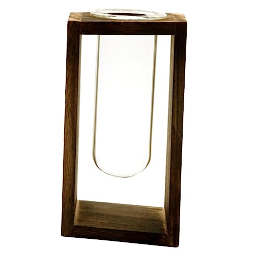 VICASKY Glaspflanzgefäß Für Hydrokultur-Pflanzen-Terrarium Glasterrarium Für Luftpflanzen Pflanzenglasterrarium Mit Holzständer Dekoration Für Zuhause Und Büro von VICASKY