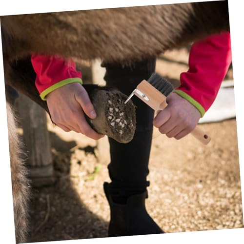 VICASKY Hufpflegebürste mit Holzgriff für Pferde und Nutztiere Robustes Hufreparatur Reinigungswerkzeug Vielseitig für Rinder Schafe und Kamele Komfortabler Griff Langlebig und Praktisch VICASKY Hufpflegebürste mit Holzgriff für Pferde und Nutztiere Robustes Hufreparatur Reinigungswerkzeug Vielseitig für Rinder Schafe und Kamele Komfortabler Griff Langlebig und Praktisch von VICASKY