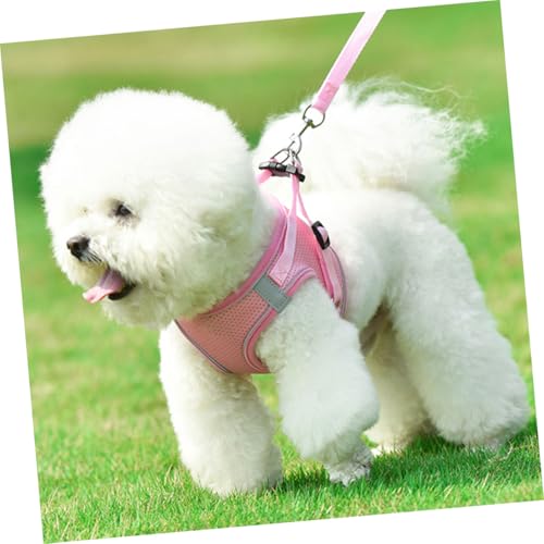 VICASKY Hundegeschirr Set Atmungsaktiv Reflektierend Hundeweste Brustgeschirr für Kleine und Mittlere Hunde Verstellbar Leicht Modisch Sicher bei Nacht Spaziergang und Training von VICASKY