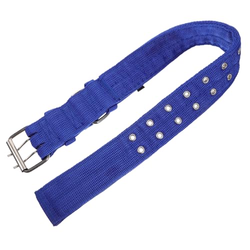 VICASKY Hundehalsband für Große Hunde Langlebiges Leichtes und Sicheres Halskragen mit Elegantem Design Angenehmes Material Komfortabel und Modisch für Haustierbedarf Blau XL VICASKY Hundehalsband für Große Hunde Langlebiges Leichtes und Sicheres Halskragen mit Elegantem Design Angenehmes Material Komfortabel und Modisch für Haustierbedarf Blau XL von VICASKY