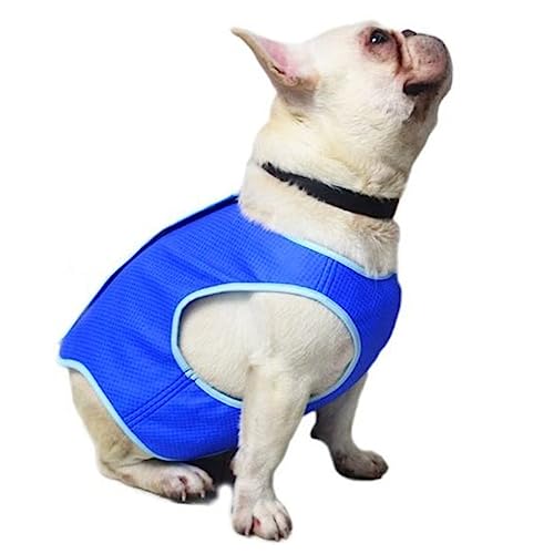 VICASKY Hundekühlweste aus Atmungsaktivem Mesh Kühlgeschirr für Hunde Xs Blau für Sommer Leicht und Bequem mit Praktischem von VICASKY
