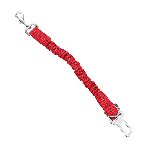 VICASKY Hundeleine für Haustiere mit Reflektierendem Design Elastisches Sicherheitsseil für Welpen für Nächtliche Hochwertiges Komfortables Material von VICASKY
