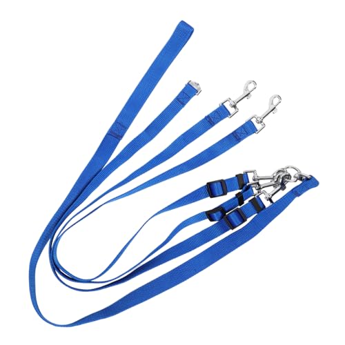 VICASKY Hundeleine für Hunde Abnehmbare Verstellbare Traction Rope aus Strapazierfähigem Material Leicht und Tragbar für Haustiere für Sicheres Spazierengehen und Training von VICASKY