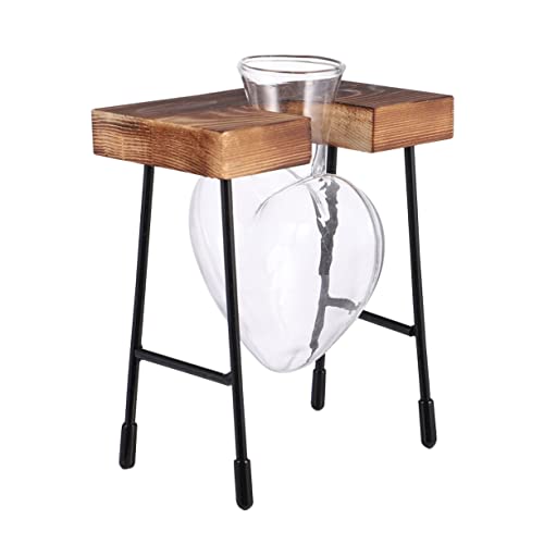 VICASKY Hydroponische Blumenvase Mit Herzförmigem Holzrahmen Dekorative Glasblumenvase Für Pflanzen Im Modernen Design Als Tischdeko von VICASKY