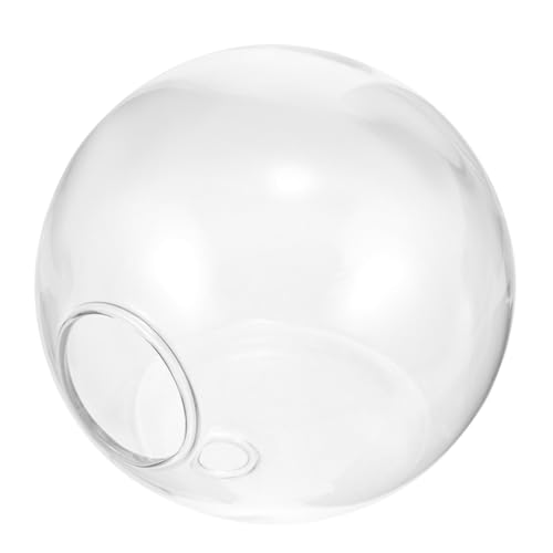 VICASKY Hydroponische Glasblumenvase Wandhänger Für Pflanzen Terrarium Und Schmuckaufhängung Unsichtbarem Für Einfache von VICASKY
