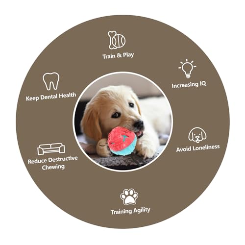 VICASKY Interaktives Hundespielzeug Ball mit Saugnapf TPR Multifunktional als Kauspielzeug Futterspender und Zahnpflege Geeignet für Stressabbau und Energieverbrauch bei Großen und von VICASKY