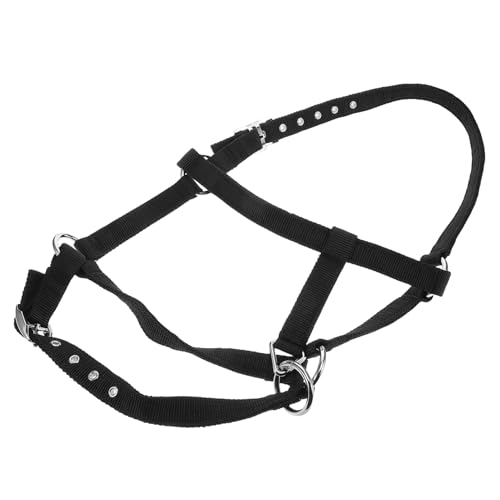 VICASKY Kinder Reitstraining Pferde Halfter Und Seilset Einstellbar Und Gepolstert Für Den Komfort Ausreißer Equestrian Training Halfter von VICASKY